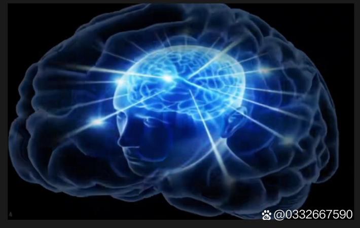 某大厂高管被曝双重生活：白天西装革履，夜晚另有身份